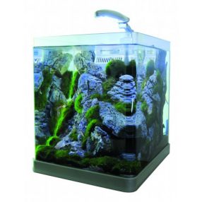 nano akvárium
